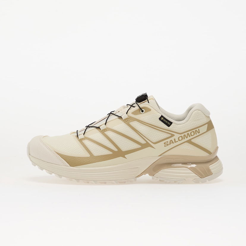 Кросівки та взуття Salomon XT-Pathway Gtx бежевий | L47861800