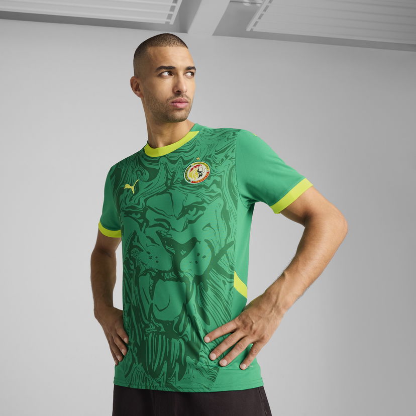 Футболка Puma Senegal 2025 Away Replica Jersey Зелений | 777166_03