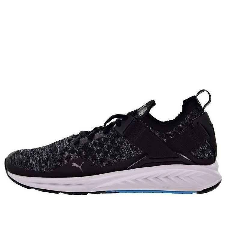 Кросівки та взуття Puma Ignite EvoKnit Lo чорний | 189904-01