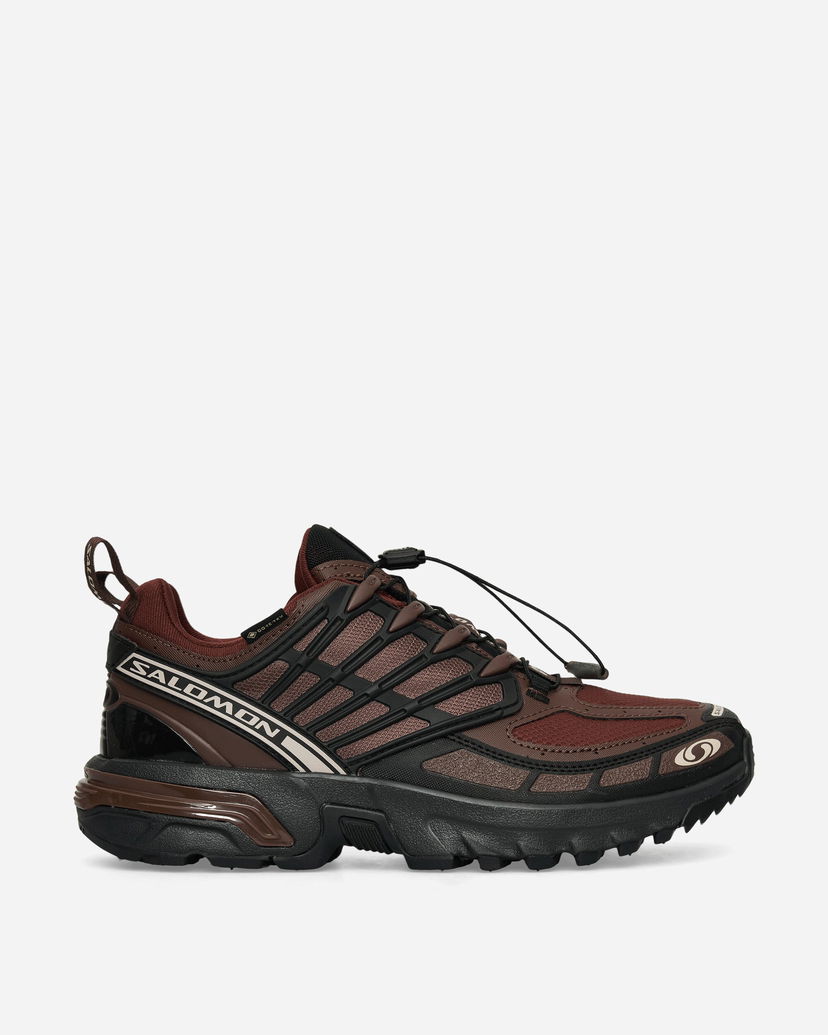 Кросівки та взуття Salomon ACS Pro GORE-TEX Коричневий | L47736400