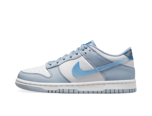 Кросівки та взуття Nike Dunk Low Next Nature Blue Iridescent (GS) Синій | FJ4668-400