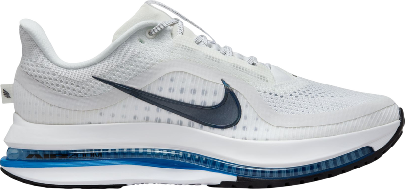 Кросівки та взуття Nike Pegasus Premium білий | hq2592-104