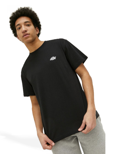 Футболка Dickies Cotton T-shirt чорний | DK0A4YAIBLK1