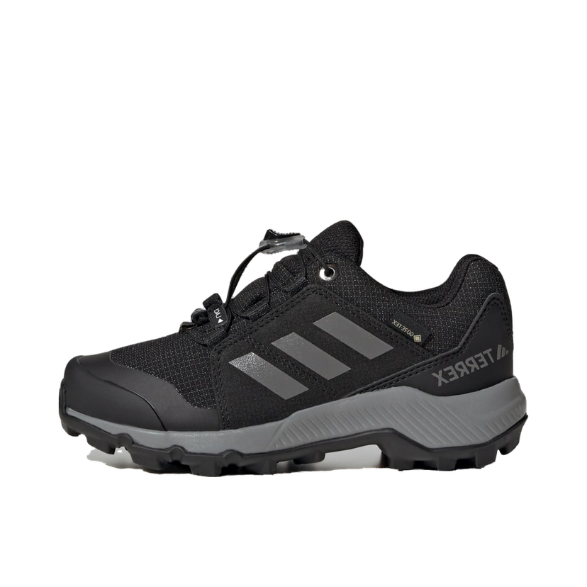 Кросівки та взуття adidas Performance Terrex GORE-TEX Hiking Shoes чорний | IH5511