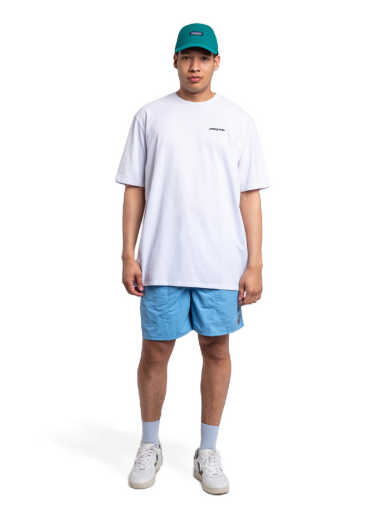Шорти Patagonia Baggies Shorts - 5" Clean Currents Patch Синій | 57022