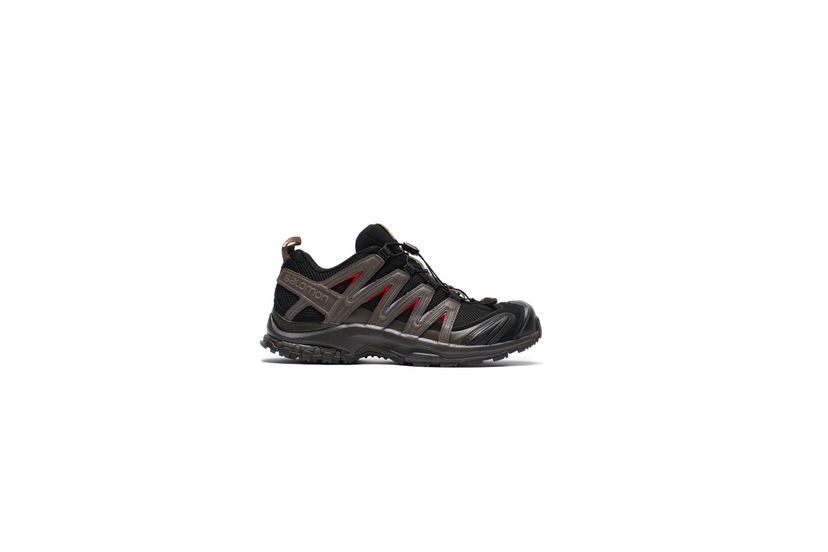 Кросівки та взуття Salomon XA PRO 3D Коричневий | L47472000