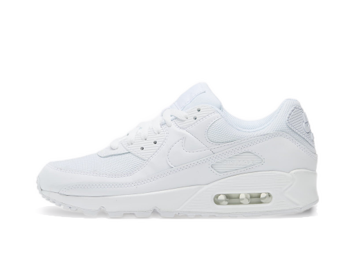 Кросівки та взуття Nike Air Max 90 білий | CN8490-100