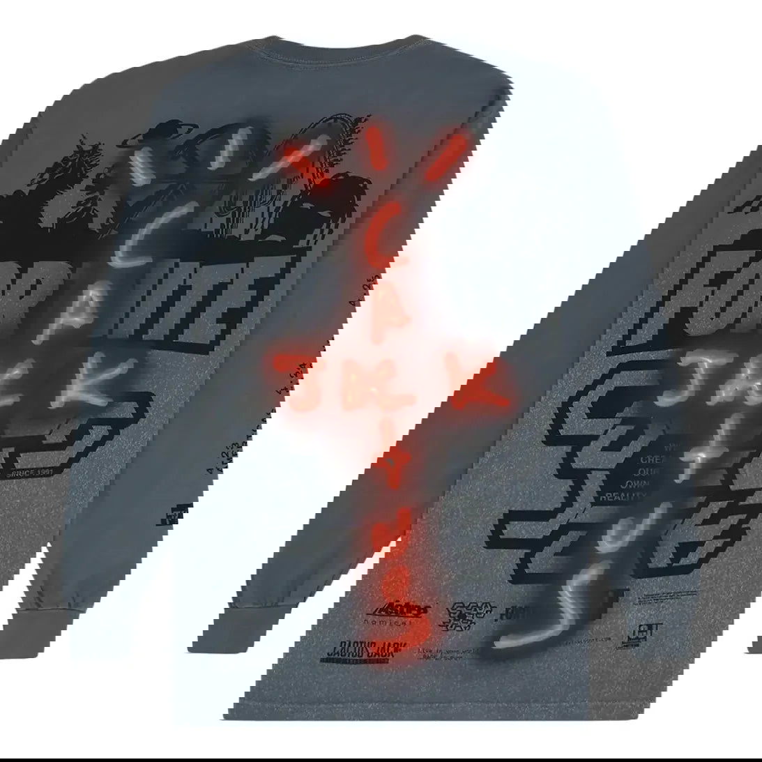 Футболка Cactus Jack by Travis Scott Travis Scott Back Bling Long Sleeve T-Shirt Сірий | TC-370, 0