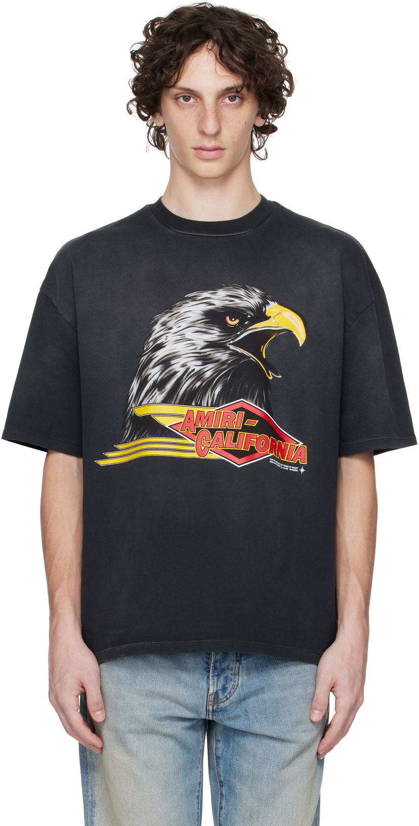 Футболка AMIRI Amiri Eagle Oversized T-Shirt чорний | AMJYTE1209