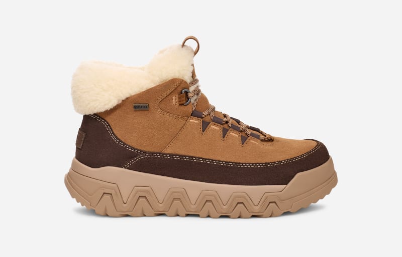 Кросівки та взуття UGG TerreTrail Cozy Lace Boot Коричневий | 1158210-CHE