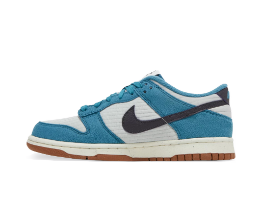 Кросівки та взуття Nike Dunk Low SE Next Nature "Toasty - Rift Blue" GS Синій | DC9561-400