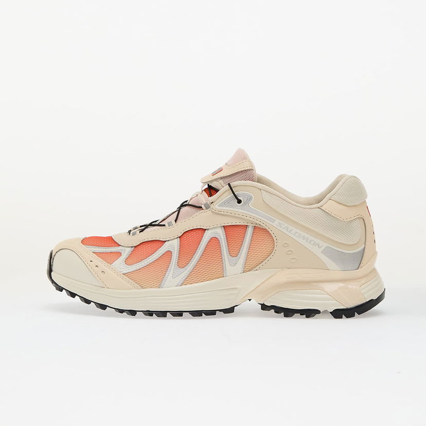 Кросівки та взуття Salomon XT-Whisper бежевий | L47761700