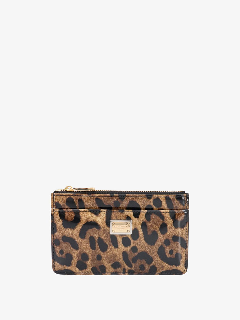 Гаманець Dolce & Gabbana CARD HOLDER Коричневий | BI1261AM568HA93M