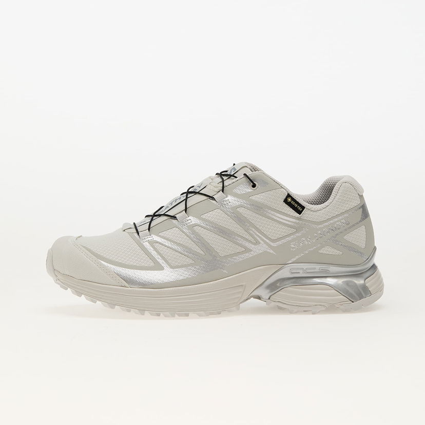 Кросівки та взуття Salomon XT-Pathway GTX бежевий | L47730900