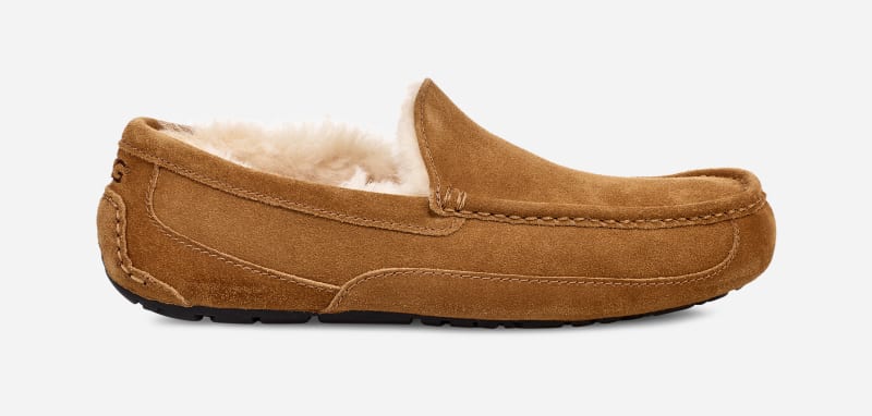 Кросівки та взуття UGG ® Ascot Slipper in Brown, Size 10, Leather Коричневий | 1101110W-CHE