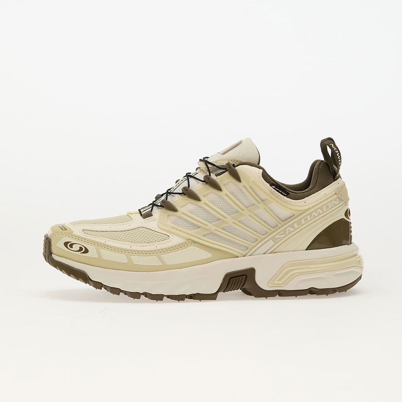 Кросівки та взуття Salomon Acs Pro Gtx бежевий | L47736200