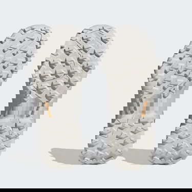 Кросівки та взуття adidas Performance TERREX SWIFT R3 GORE-TEX Бірюзовий | HP8715, 3