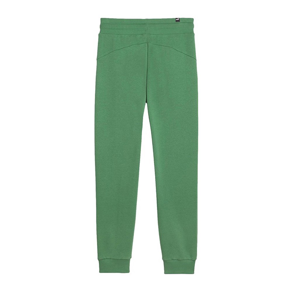Спортивні штани Puma Essentials Plus Script Sweatpants Зелений | 679350-86, 1