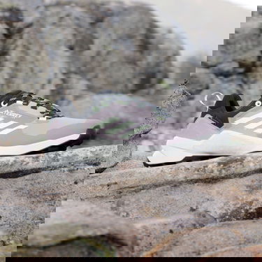 Кросівки та взуття adidas Performance adidas TERREX BOTY TERREX SWIFT R3 GORE-TEX Сірий | IE5071, 2