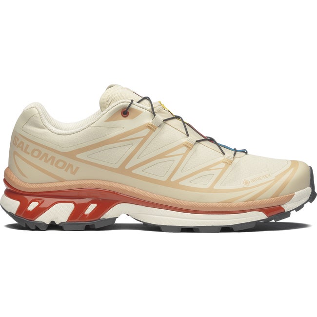 Кросівки та взуття Salomon XT-6 Gore-Tex бежевий | L47865200