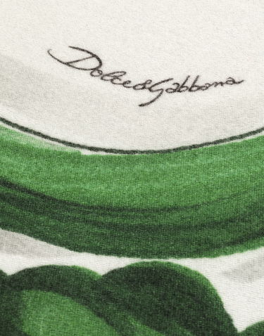 Домашній декор Dolce & Gabbana Dolce & Gabbana Silk And Wool Floral Scroll Blanket Зелений | TCE012TCAB6UV013, 2