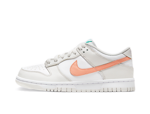 Кросівки та взуття Nike Dunk Low "Mismatch Swoosh - Tropical" GS білий | CW1590-101