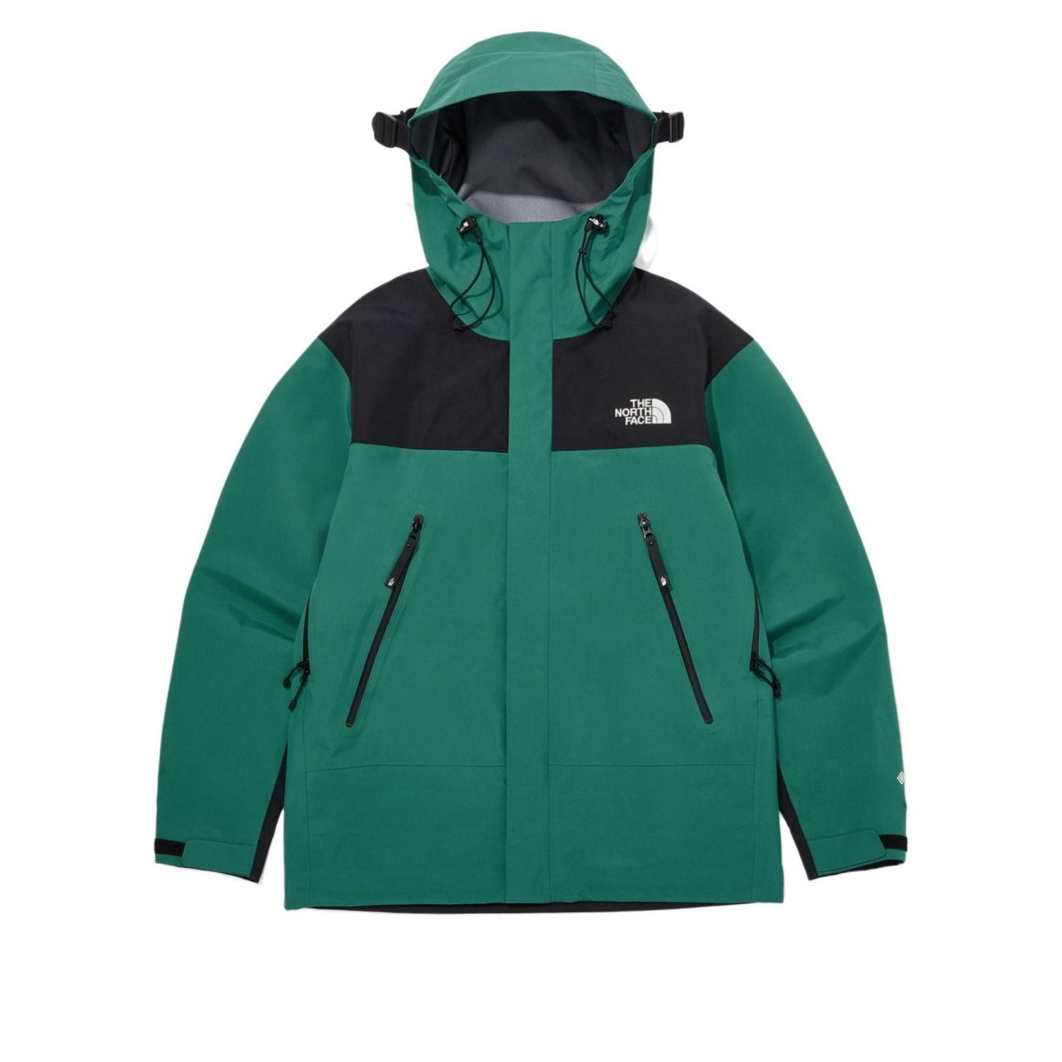 Парка The North Face Gore-Tex Mountain 3L Jacket Зелений | NJ2GQ01C, 0