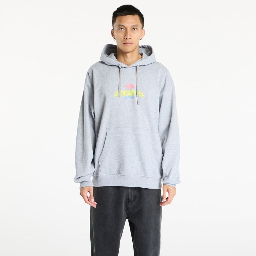 Світшоти The North Face Expedition Celebration Oversized Hoodie Сірий | NF0A8E3FDYX1