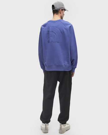 Світшоти The North Face Relaxed Crew Sweatshirt Синій | NF0A8C366IF1, 2
