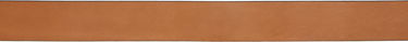 Ремені ISABEL MARANT Isabel Marant Dara Leather Belt Коричневий | 25PCE298CFA-C1B01A, 1