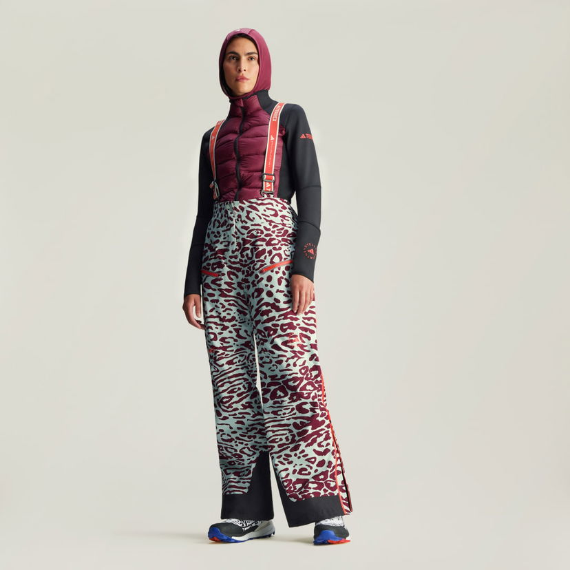 Штани adidas Performance Stella McCartney x Terrex TrueNature 2L Ski Pants Різнокольоровий | IW3872