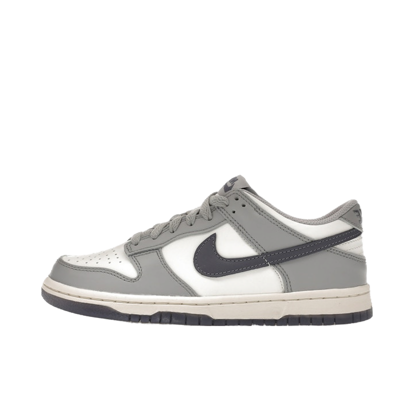 Кросівки та взуття Nike Dunk Low Сірий | FB9109-101