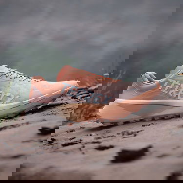 Кросівки та взуття adidas Performance Terrex Agravic 3 Trail Running Помаранчевий | IG6582, 1