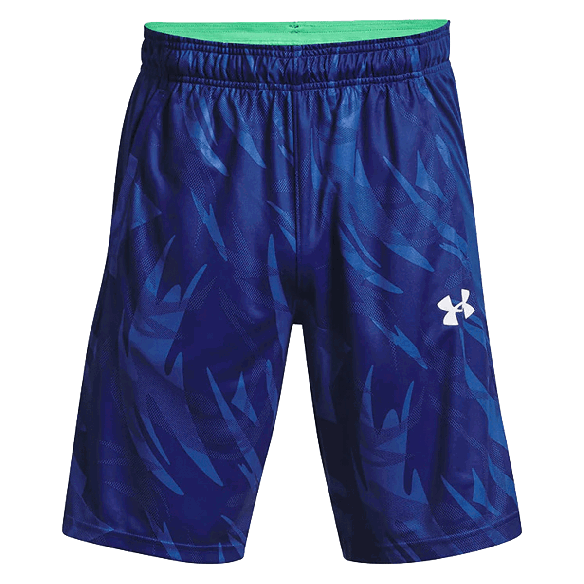 Шорти Under Armour BASELINE 10'' Print Performance Shorts Різнокольоровий | 1370221-401, 0