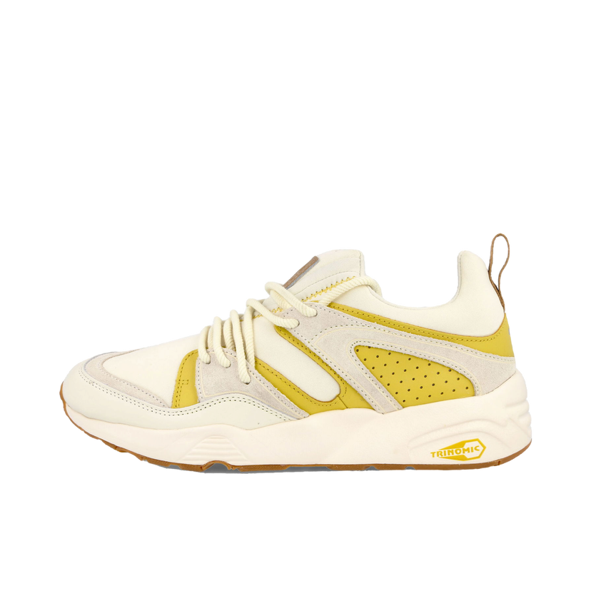 Кросівки та взуття Puma Blaze of Glory D.South Жовтий | 384024-01