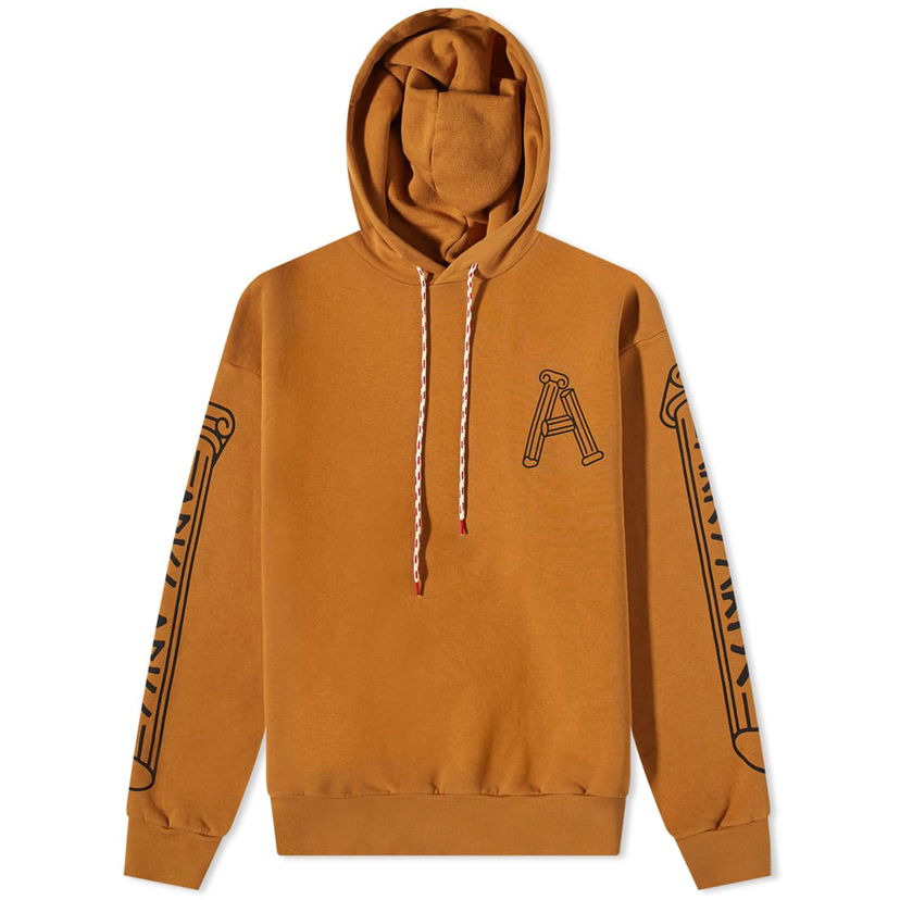 Світшоти Aries Aries Column Hoody Коричневий | FTAR20010-CML