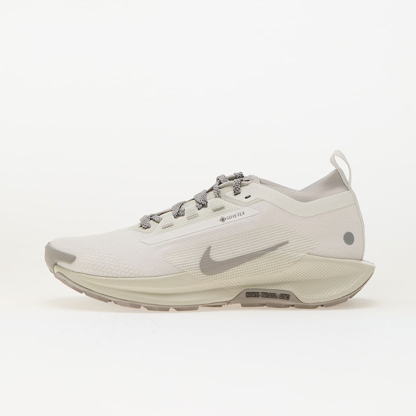 Кросівки та взуття Nike Pegasus Trail 5 Gore-Tex бежевий | HQ7494-100