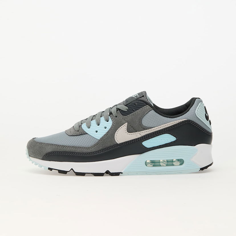 Кросівки та взуття Nike Air Max 90 Light Сірий | DM0029-009