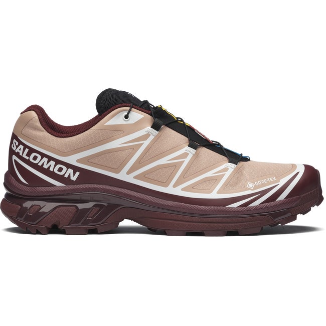 Кросівки та взуття Salomon XT-6 Gore-Tex бежевий | L47863700