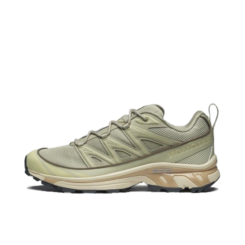 Кросівки та взуття Salomon Xt-6 Expanse Сірий | L47445600