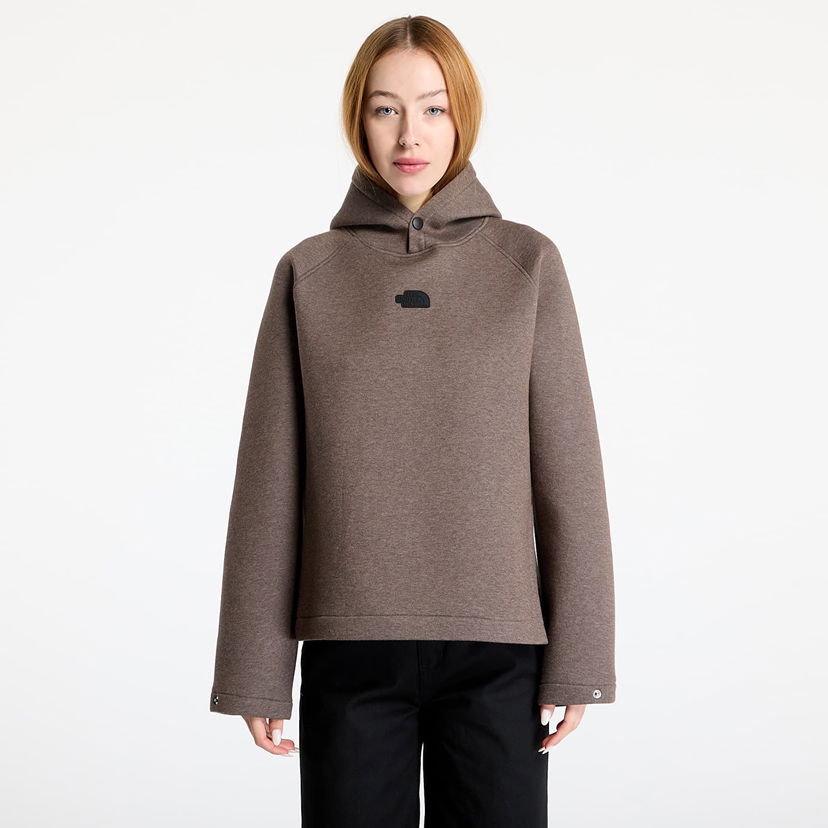 Світшоти The North Face Relaxed Hoodie Sweatshirt Коричневий | NF0A89C02QI1