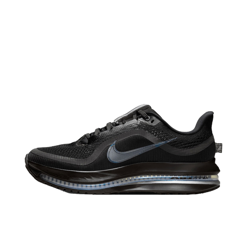 Кросівки та взуття Nike Pegasus Premium чорний | HQ2593-004
