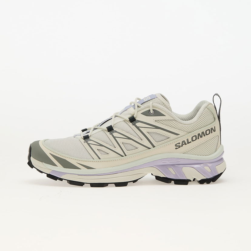 Кросівки та взуття Salomon Xt-6 Expanse бежевий | L47810100