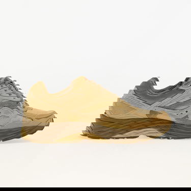 Кросівки та взуття Saucony PROGRID OMNI 9 Armor Desert бежевий | S70869-2, 2
