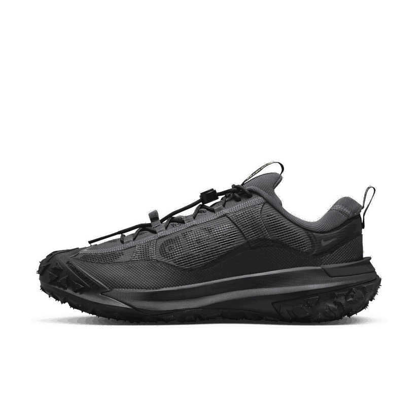 Outdoor Nike ACG Mountain Fly 2 Low GORE-TEX Сірий | HF6245-001