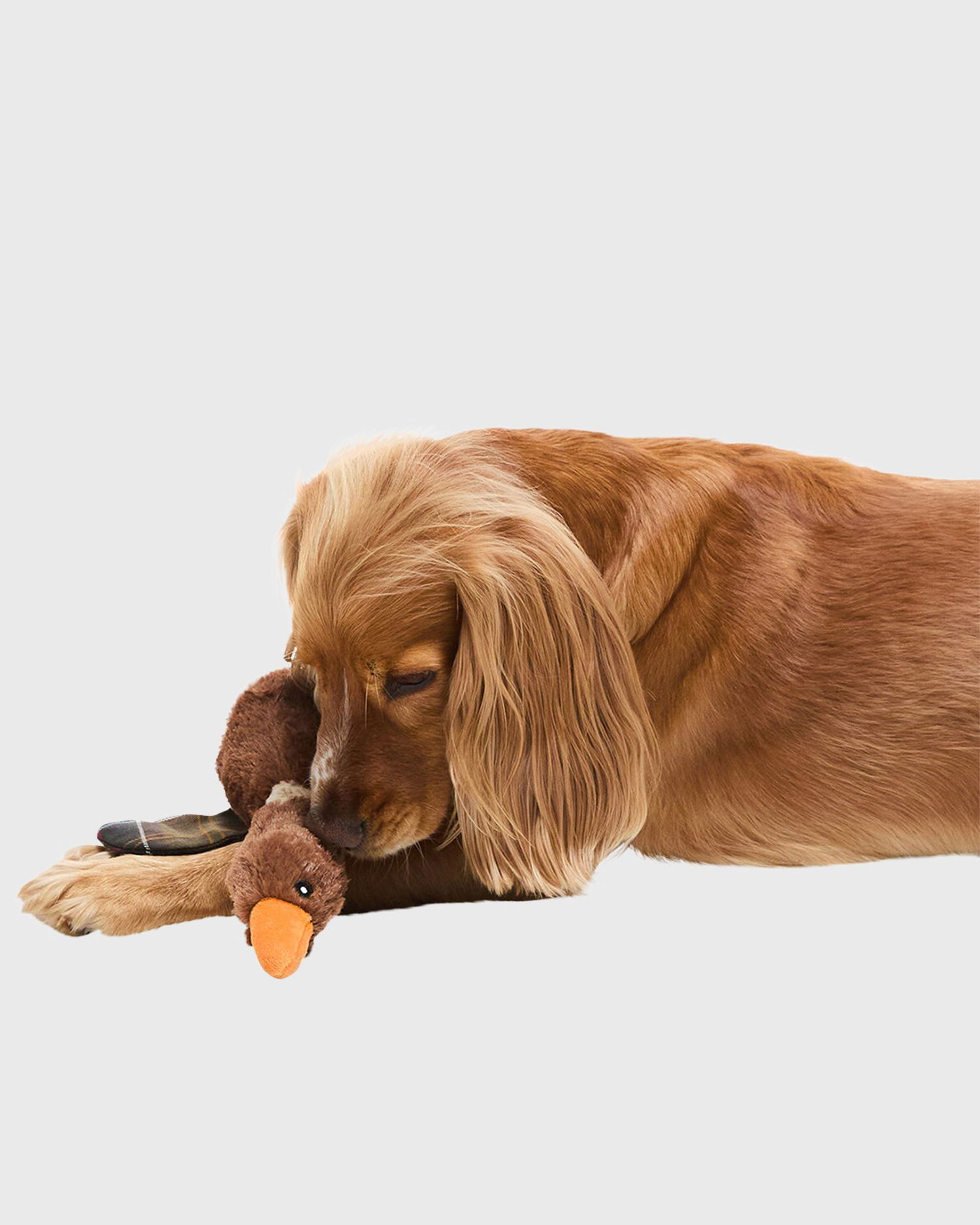 Колекційний Barbour Plush Duck Toy with Plaid Detail Коричневий | DAC0117BR11, 1