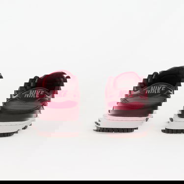 Кросівки та взуття Nike Dunk Low Різнокольоровий | IM6572-600, 4