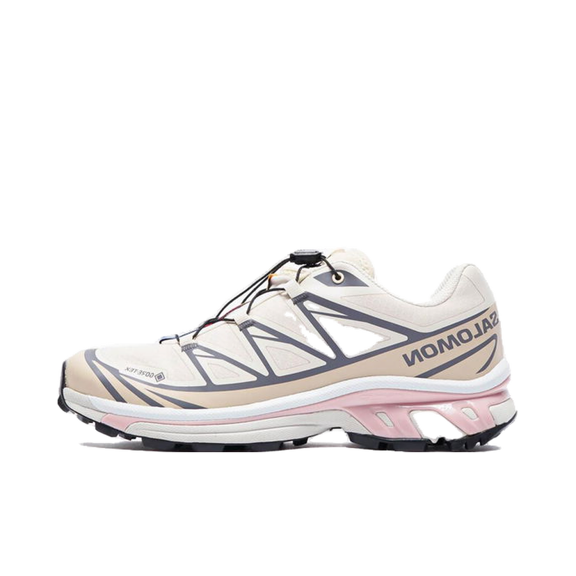 Кросівки та взуття Salomon XT-6 Gore-Tex білий | L47581200