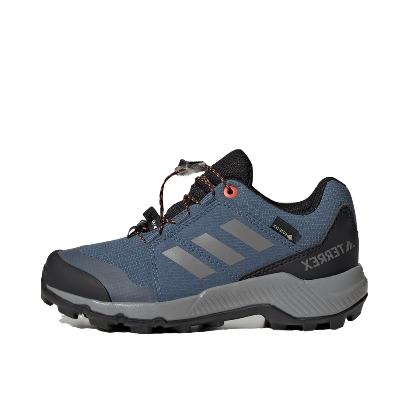 Кросівки та взуття adidas Performance Terrex GORE-TEX Hiking Shoes Синій | JI1358