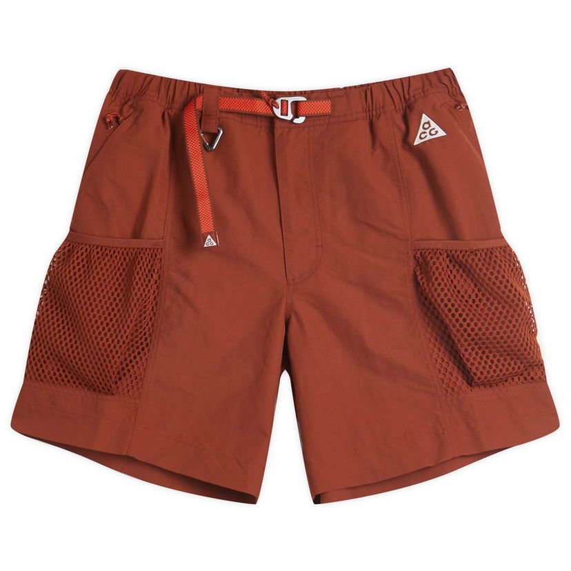 Шорти Nike ACG Snowgrass Cargo Shorts, Size Large Коричневий | DV9405-245